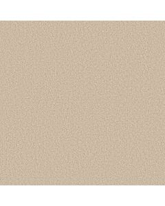 Anderson Tuftex Avalon Bay Risotto Carpet - ZZ278-00121
