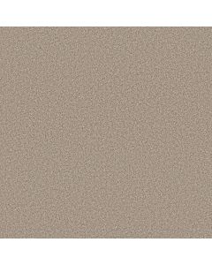 Anderson Tuftex Avalon Bay White Mocha Carpet - ZZ278-00151