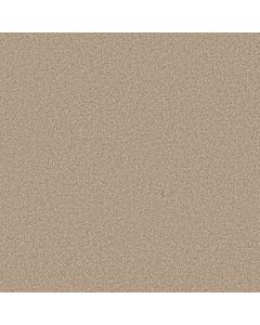Anderson Tuftex Avalon Bay Filtered Moon Carpet - ZZ278-00162