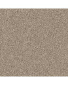 Anderson Tuftex Avalon Bay Sugar Cookie Carpet - ZZ278-00173