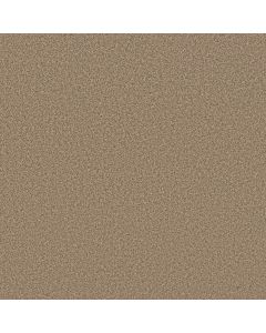 Anderson Tuftex Avalon Bay Powdered Gold Carpet - ZZ278-00225