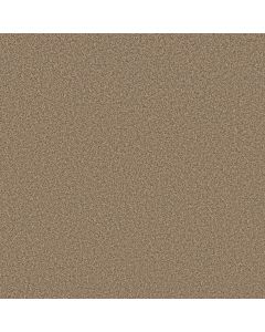 Anderson Tuftex Avalon Bay Toasty Carpet - ZZ278-00275