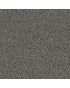 Anderson Tuftex Avalon Bay Rock Bottom Carpet - ZZ278-00548