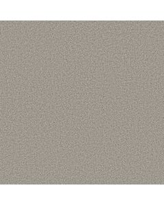 Anderson Tuftex Avalon Bay Moth Gray Carpet - ZZ278-00551