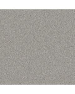 Anderson Tuftex Avalon Bay Platinum Carpet - ZZ278-00552