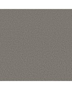 Anderson Tuftex Avalon Bay Flannel Gray Carpet - ZZ278-00554