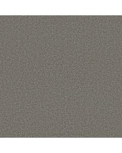 Anderson Tuftex Avalon Bay Asphalt Carpet - ZZ278-00556