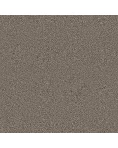 Anderson Tuftex Avalon Bay Ottertail Carpet - ZZ278-00576