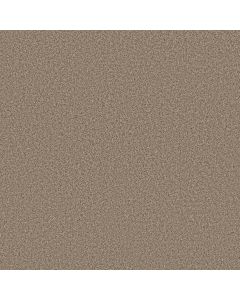 Anderson Tuftex Avalon Bay Distant Land Carpet - ZZ278-00715
