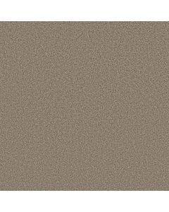 Anderson Tuftex Avalon Bay Chic Taupe Carpet - ZZ278-00753