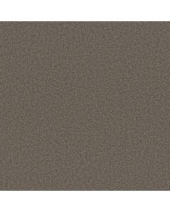 Anderson Tuftex Avalon Bay Sable Carpet - ZZ278-00756