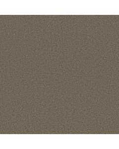 Anderson Tuftex Avalon Bay Smokehouse Carpet - ZZ278-00776