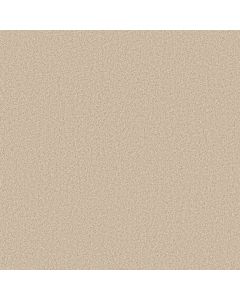 Anderson Tuftex Somerset Risotto Carpet - ZZ279-00121