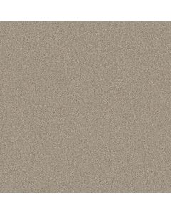 Anderson Tuftex Somerset White Mocha Carpet - ZZ279-00151