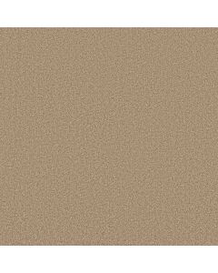 Anderson Tuftex Somerset Filtered Moon Carpet - ZZ279-00162