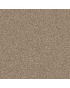 Anderson Tuftex Somerset Sugar Cookie Carpet - ZZ279-00173
