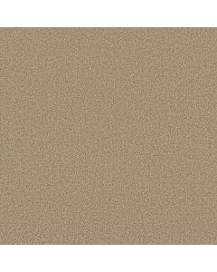 Anderson Tuftex Somerset Golden Carpet - ZZ279-00224