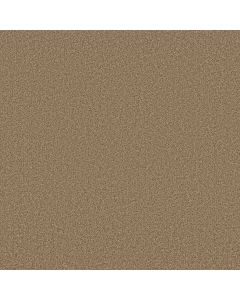 Anderson Tuftex Somerset Powdered Gold Carpet - ZZ279-00225