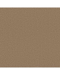 Anderson Tuftex Somerset Toasty Carpet - ZZ279-00275