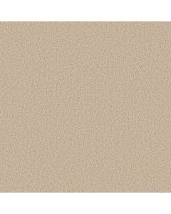 Anderson Tuftex Fabulous Risotto Carpet - ZZ280-00121