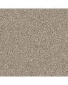 Anderson Tuftex Fabulous White Mocha Carpet - ZZ280-00151