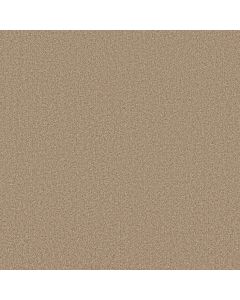 Anderson Tuftex Fabulous Filtered Moon Carpet - ZZ280-00162
