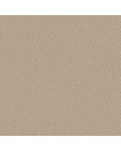 Anderson Tuftex Fabulous Utterly Beige Carpet - ZZ280-00171