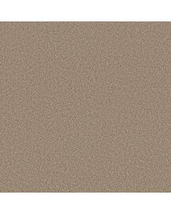 Anderson Tuftex Fabulous Sugar Cookie Carpet - ZZ280-00173