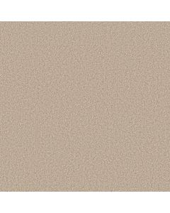 Anderson Tuftex Fabulous Windswept Carpet - ZZ280-00222