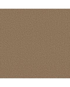 Anderson Tuftex Fabulous Toasty Carpet - ZZ280-00275