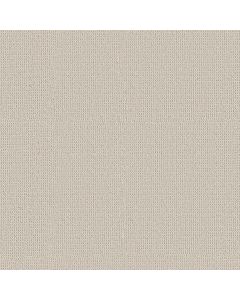 Anderson Tuftex Arden Park Froth Carpet - ZZ286-00111