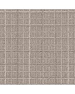 Anderson Tuftex Breeze Block Muslin Carpet - ZZ291-00172