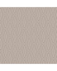 Anderson Tuftex Cozy Cable Twine Carpet - ZZ292-00173