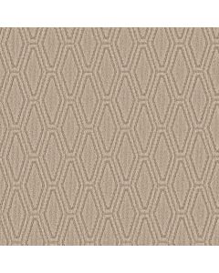 Anderson Tuftex Cozy Cable Cork Carpet - ZZ292-00273