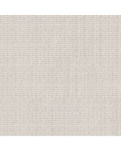 Anderson Tuftex Delight Sea Salt Carpet - ZZ310-00101