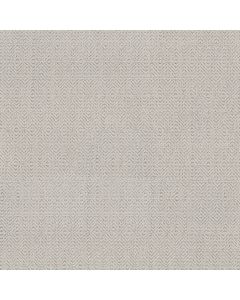 Anderson Tuftex Delight Birch Bark Carpet - ZZ310-00500