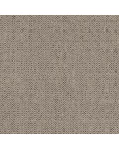 Anderson Tuftex Delight Chic Taupe Carpet - ZZ310-00701