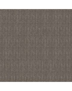 Anderson Tuftex Delight Driftwood Carpet - ZZ310-00702