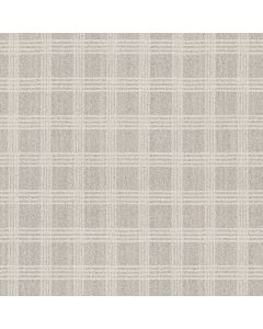 Anderson Tuftex Collab Antique Pearl Carpet - ZZ311-00102