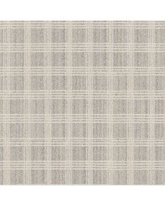 Anderson Tuftex Collab Ivory Metallic Carpet - ZZ311-00103
