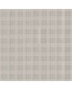 Anderson Tuftex Collab Birch Bark Carpet - ZZ311-00500