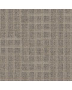 Anderson Tuftex Collab Chic Taupe Carpet - ZZ311-00701