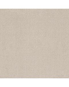 Anderson Tuftex Alluring Birchbark Carpet - ZZ316-00121