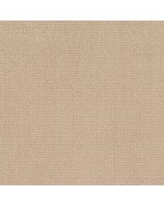 Anderson Tuftex Alluring Straw Carpet - ZZ316-00222