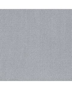 Anderson Tuftex Alluring Opaline Carpet - ZZ316-00441