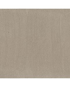 Anderson Tuftex Inspired Gypsum Carpet - ZZ317-00171