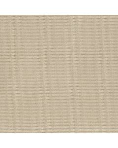 Anderson Tuftex Inspired Basalt Carpet - ZZ317-00221
