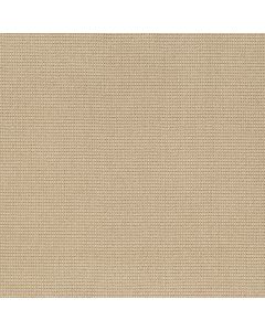 Anderson Tuftex Inspired Straw Carpet - ZZ317-00222