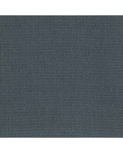 Anderson Tuftex Inspired Indigo Carpet - ZZ317-00447