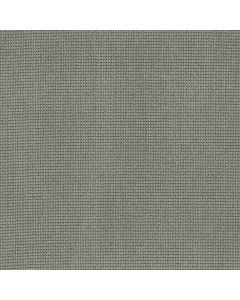 Anderson Tuftex Inspired Nickel Carpet - ZZ317-00553